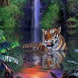 Meet your Posher, Shyanne